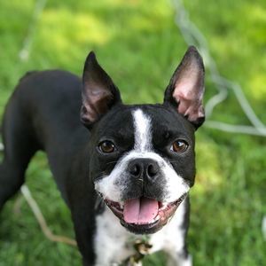 Meet your Posher, Lynn